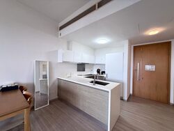 Marina Boulevard (D1), Condominium #501903891